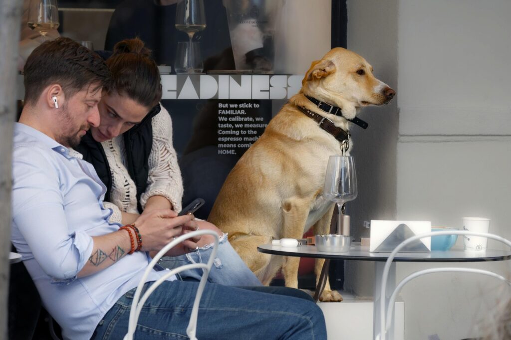 Hund im Cafe